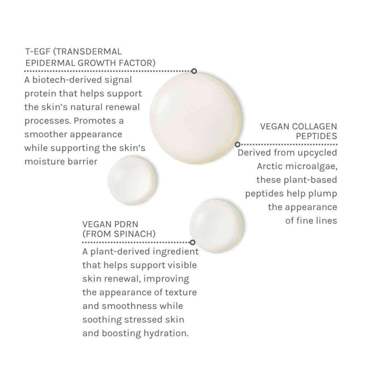 Evolve Organic Beauty EGF + Collagen Renewal Booster aineosat