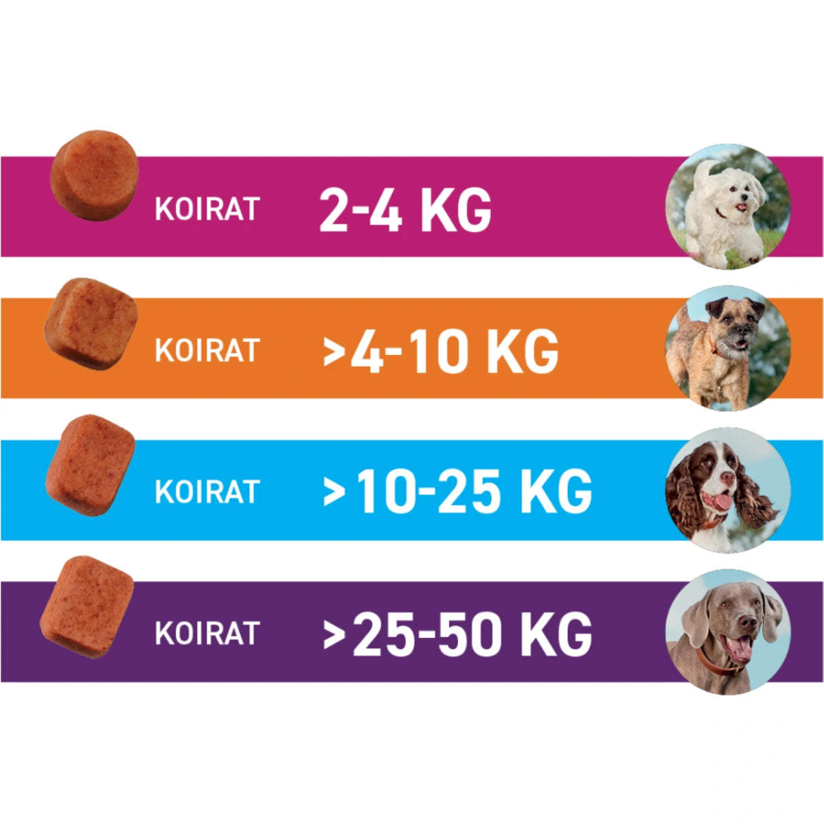 FRONTPRO purutabletti 28,3 mg >4-10 kg painoisille koirille