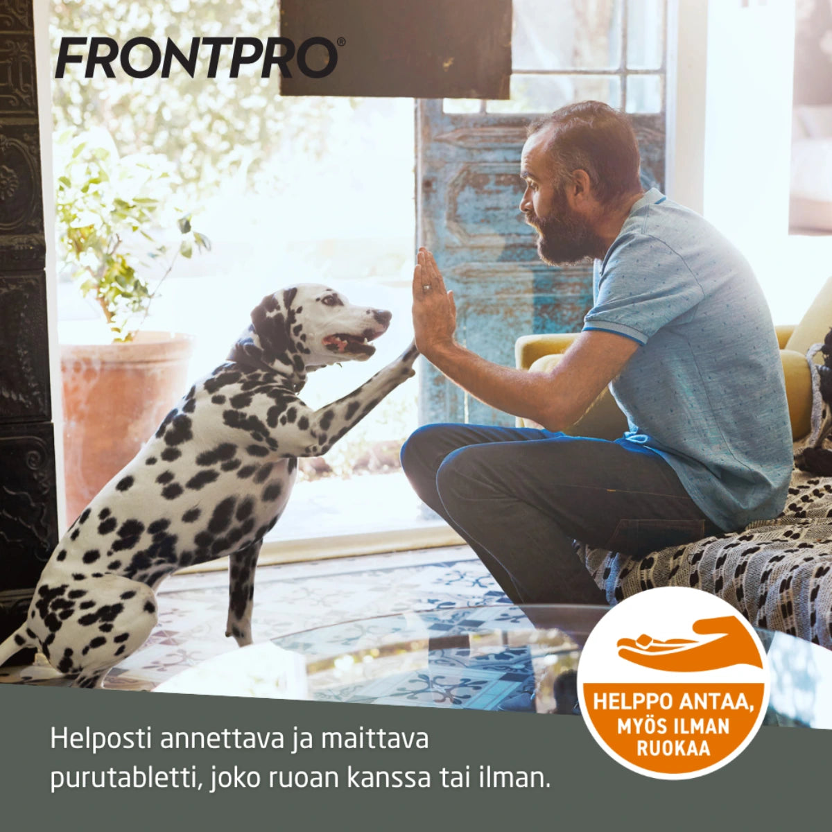 FRONTPRO purutabletti 68 mg >10-25 kg painoisille koirille