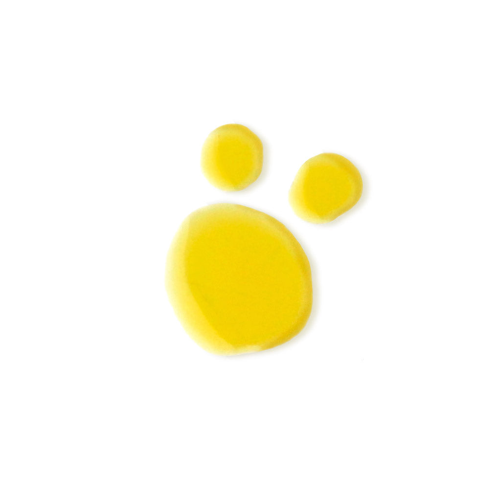 EVOLVE Bio-Retinol + C Booster seerumi 15 ml