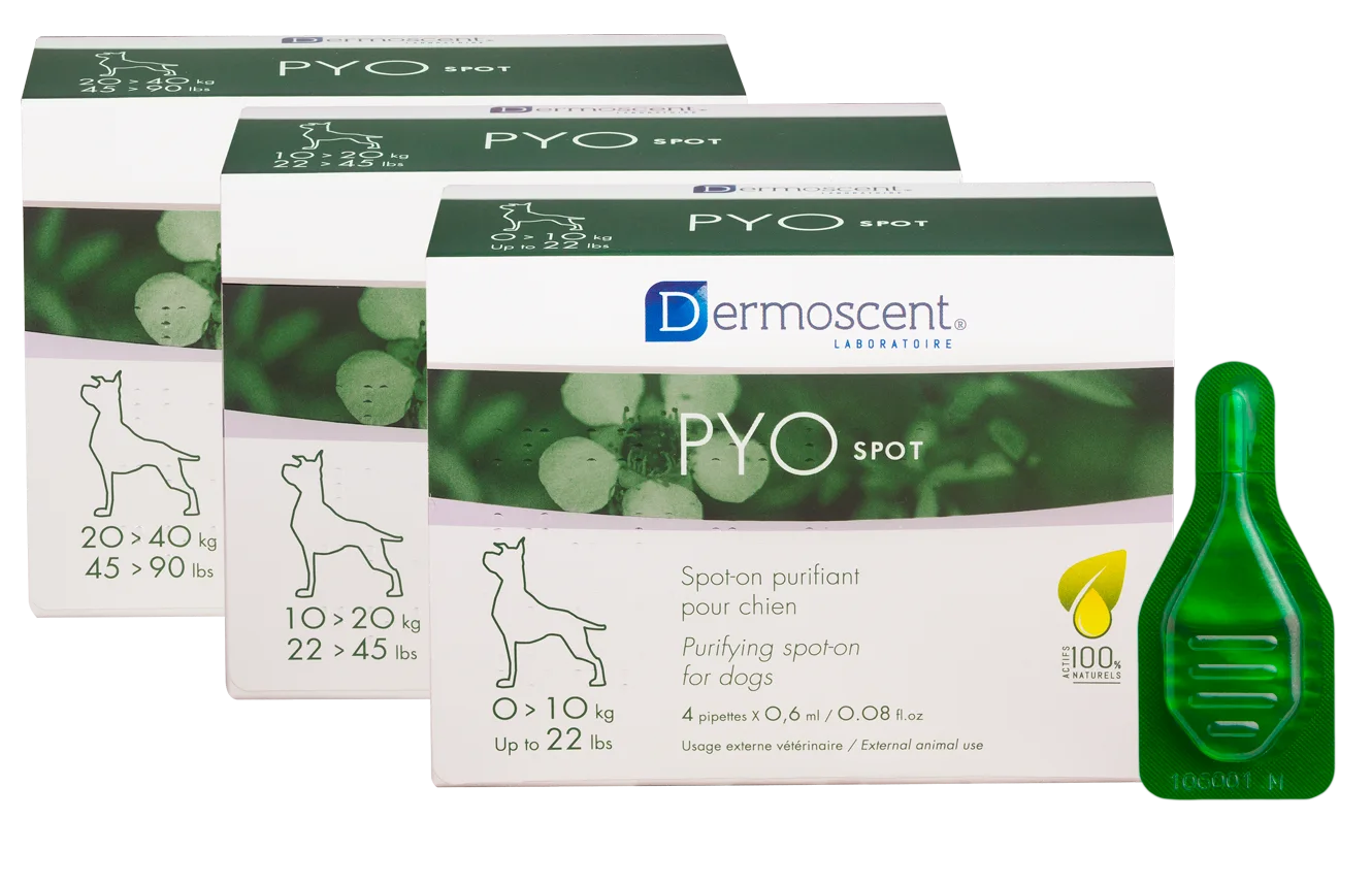 PYOSPOT Dog spot-on puhdistava paikallisvaleluliuos 0-10 kg koirille 4x0,6 ml