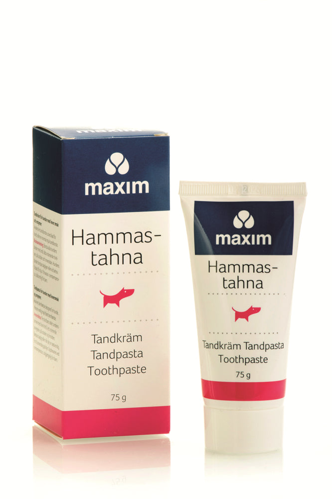 MAXIM KOIRAN HAMMASTAHNA 75 G