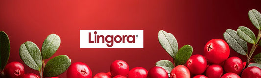 Suomalainen innovaatio suun hyvinvointiin – Tutustu Lingora®-suuhuuhteen tarinaan