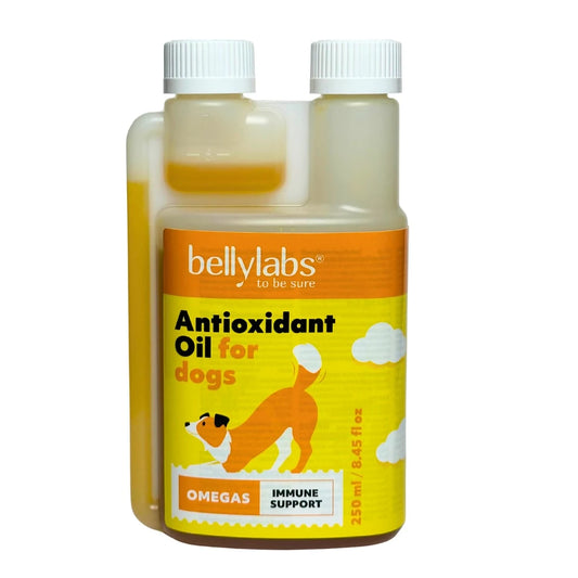 Bellylabs Antioksidanttiöljy koirille 250 ml
