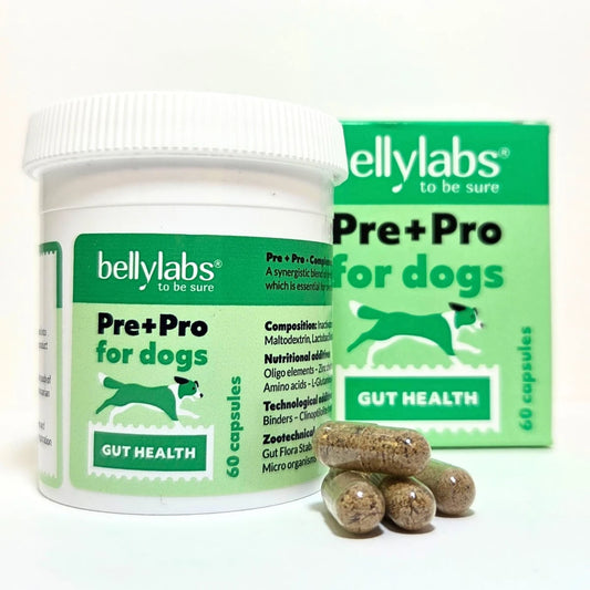 Bellylabs Pre+Pro kapselit koirille 60 kpl – prebiootti-probioottivalmiste&nbsp;