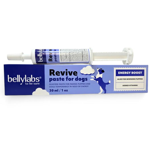 Bellylabs Revive energiatahna koirille 30 ml