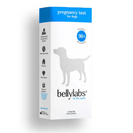 Bellylabs koirien tiineystesti 1 kpl