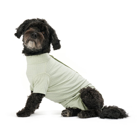 BUSTER Body Suit Stepn Go For Dogs Green toipilaspuku koirille, koko XS