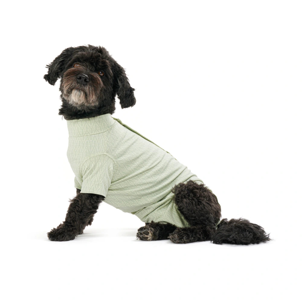 BUSTER Body Suit Stepn Go For Dogs Green toipilaspuku koiralle, koko L