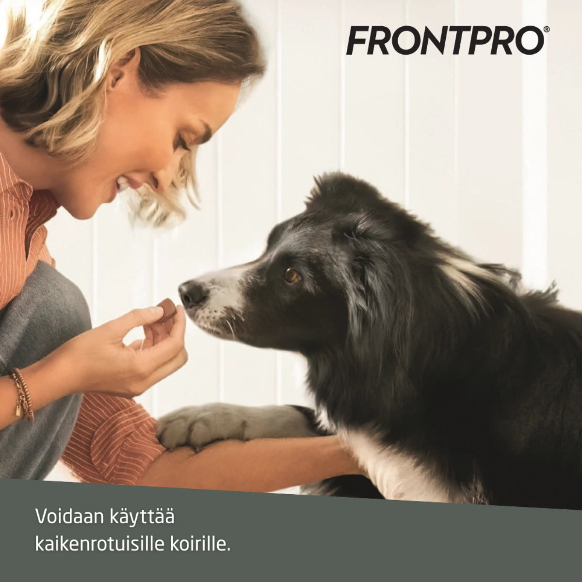 FRONTPRO purutabletti 68 mg >10-25 kg painoisille koirille