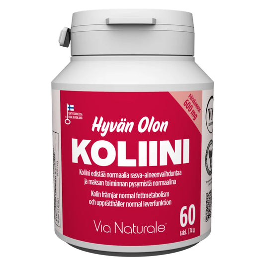 Hyvän Olon Koliini 600 mg tabletti 60 kpl
