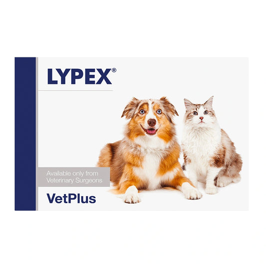LYPEX Täydennysrehuvalmiste kapseli koirille ja kissoille 60 kpl