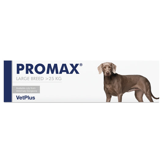 PROMAX Large Breed 30 ml kolmitehoinen ravintolisä koirien suolistohäiriöihin