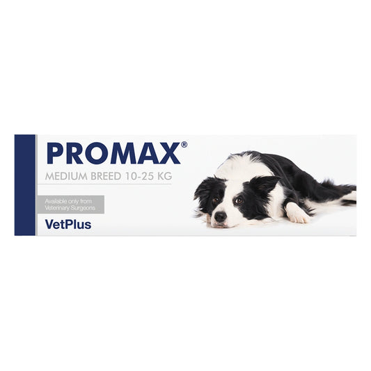 PROMAX Medium Breed 18 ml koiran suolistohäiriöihin