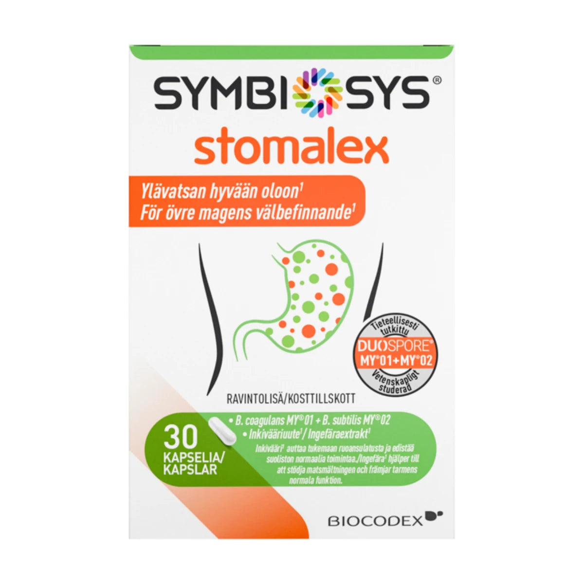 SYMBIOSYS Stomalex 30 kaps – maitohappobakteereita sekä inkivääriuutetta