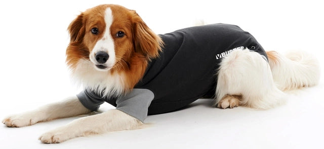 BUSTER Body suit suojabody koiralle, koko XL 1 kpl