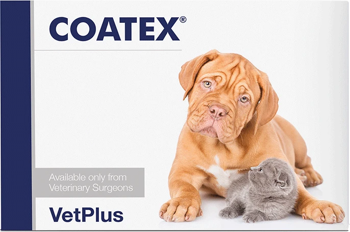 COATEX Täydennysrehuvalmiste turkin hyvinvointiin koirille ja kissoille 60 kaps