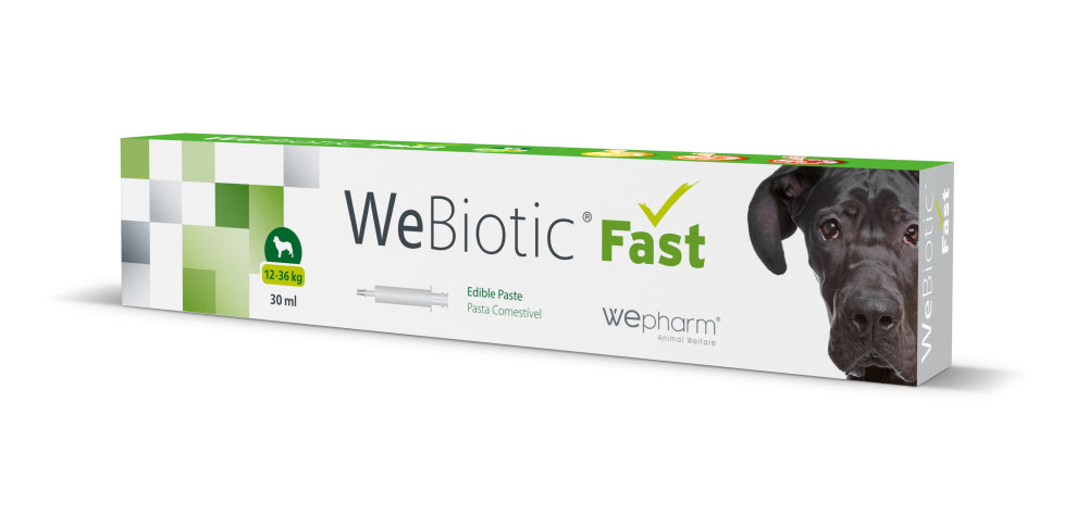 WEBIOTIC Fast makupasta 30 ml
