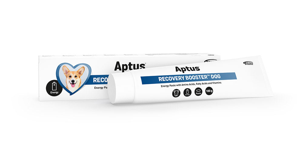 APTUS Recovery Booster Dog 100 g