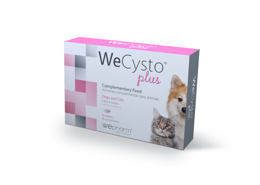 WECYSTO Plus makutabletit koirilla ja kissoille virtsateiden toimintaan 30 kpl