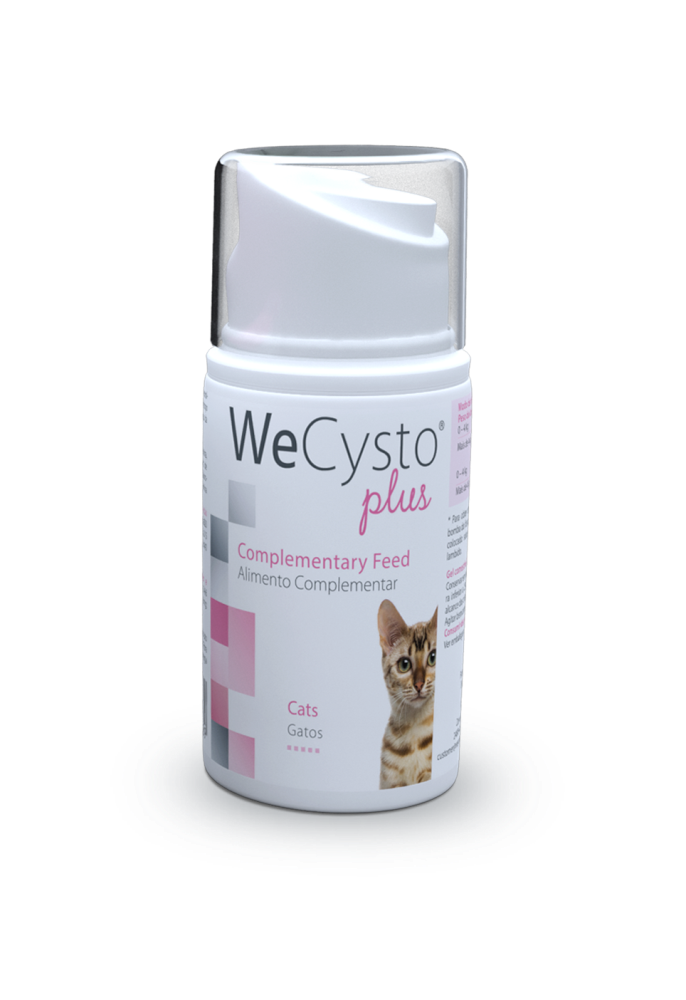 WECYSTO Plus geeli koirille ja kissoille tukemaan virtsateiden toimintaa 50 ml