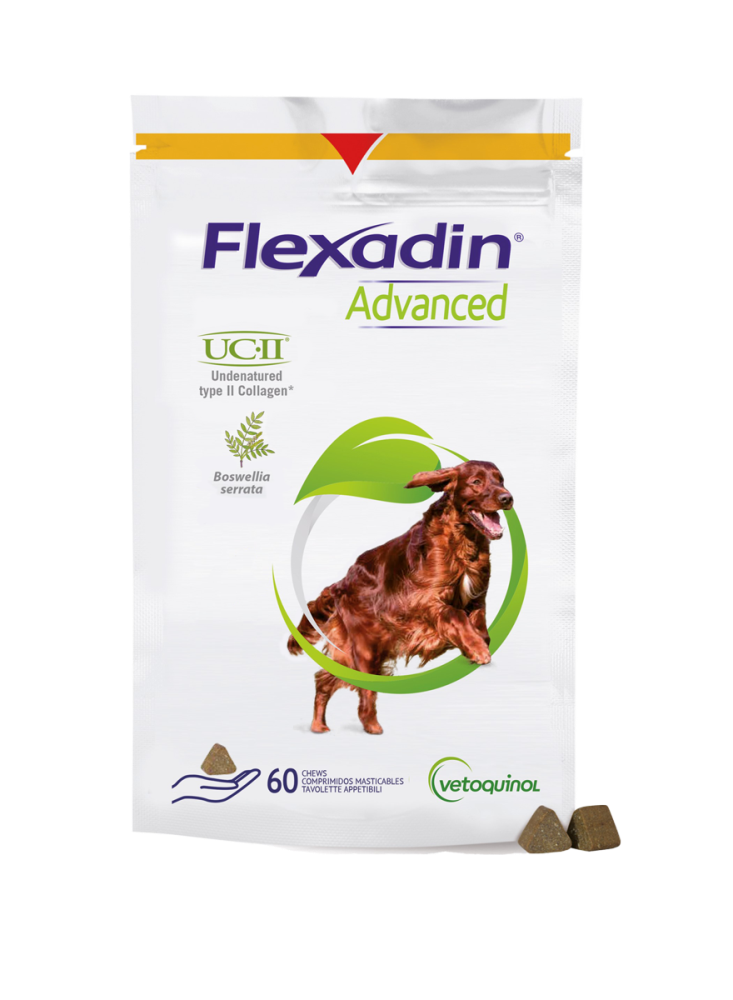 FLEXADIN Advanced purutabletti koirille (HUOM! Kestoaika 31.12.2023) 60 tablettia