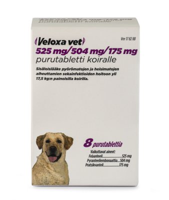 VELOXA VET 175 mg/504 mg/525 mg purutabletti 8 tablettia