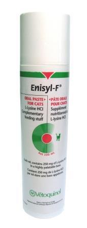 ENISYL-F PASTA KISSALLE 100 ML
