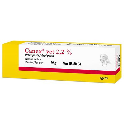 CANEX VET 22 mg/g oraalipasta 10 g