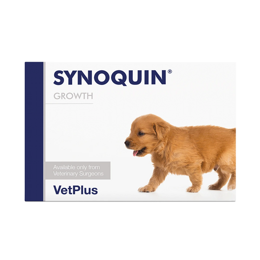 SYNOQUIN Growth täydennysrehuvalmiste tabletit kasvuikäisille koirille 60 tablettia