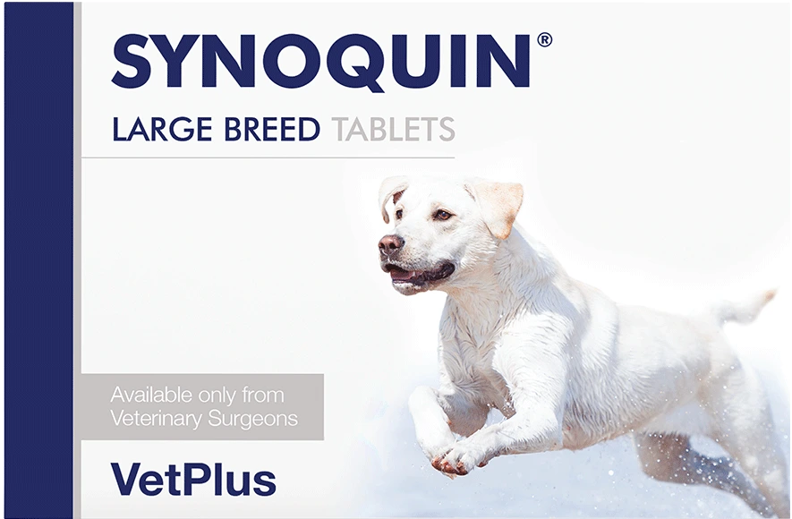 SYNOQUIN EFA Large täydennysrehuvalmiste tabletti isoille koirille 30 kpl