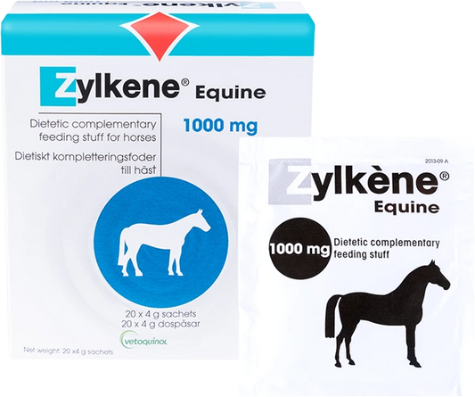 ZYLKENE Equine 1000 mg annosjauhe hevoselle kuormittaviin tilanteisiin 20x4g