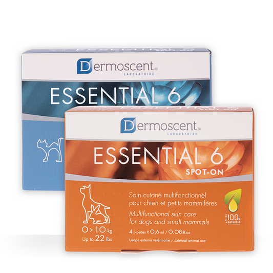 DERMOSCENT Essential 6® spot-on rasvahappovalmiste, koiralle 1-10 kg 4 pipettiä
