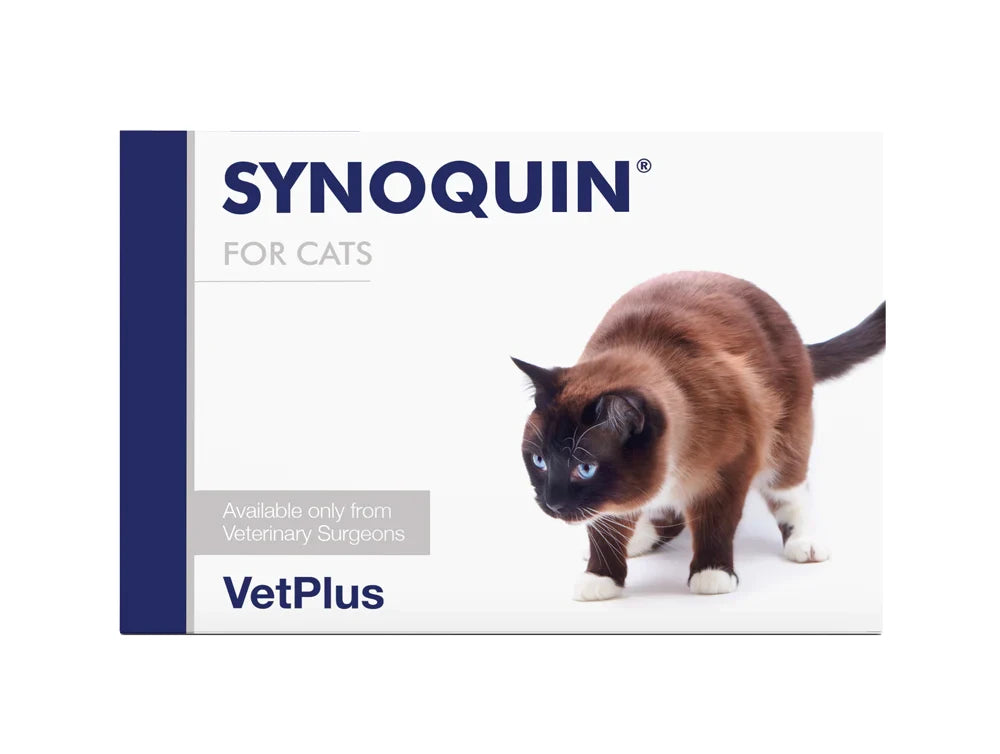 SYNOQUIN EFA Cat kapselit 30 kpl